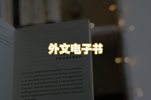 外文电子书